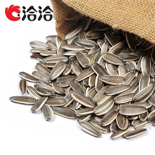 洽洽 多味瓜子 230g/袋 商品图1