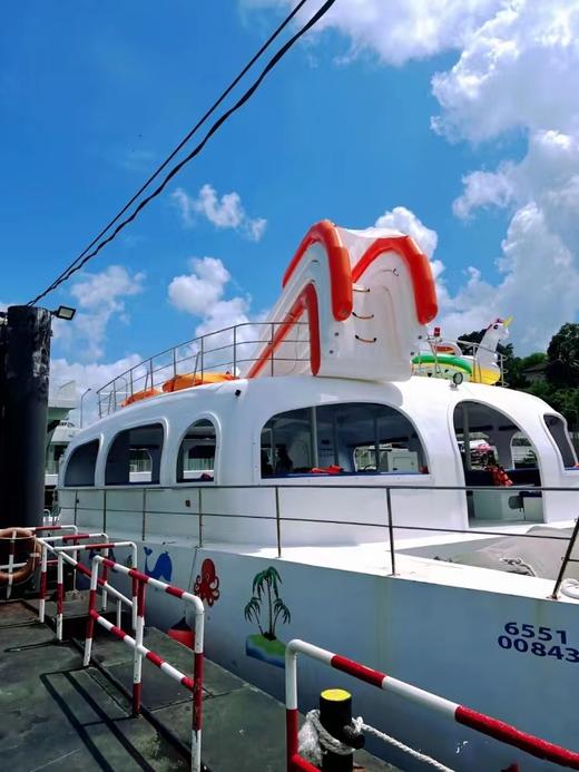 蛋岛亲子游专线【冰淇淋号双体游艇半日体验 I 浮潜 I网红透明皮划艇 I 奖板] 商品图6