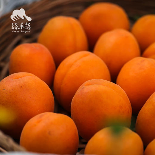 生态大黄杏 | 合作生产*Eco-Apricot | artner Production 商品图4