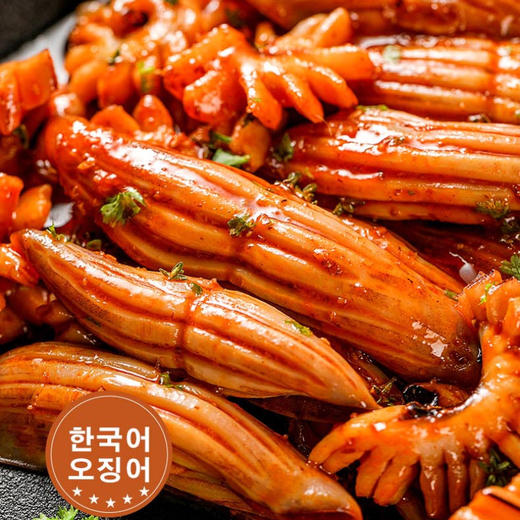 韩式烤酱鱿鱼200g*4包 【正洋】 商品图4