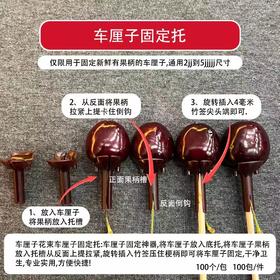 【水果固定工具】车厘子固定托  100个/包