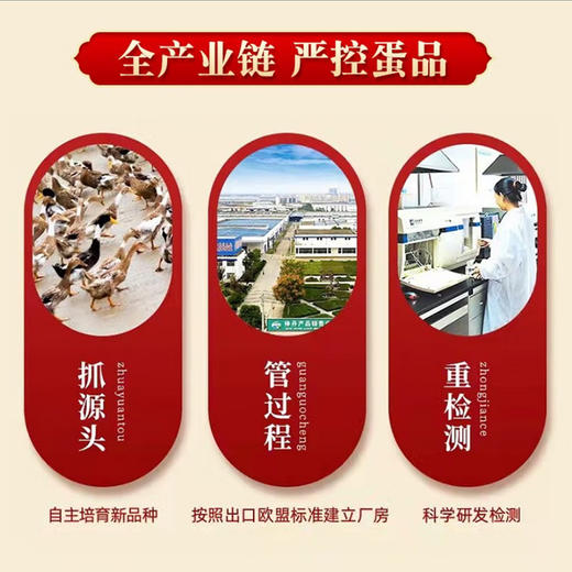 【神丹】特大油润咸鸭蛋15枚 商品图4