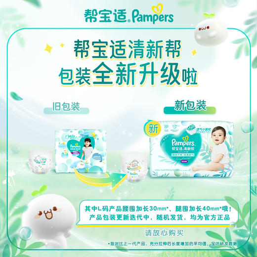 【一般贸易】美国 帮宝适（Pampers）清新帮纸尿裤/拉拉裤NB/S/M/L/XL/XXL/XXXL宝宝超薄型纸尿裤 商品图4