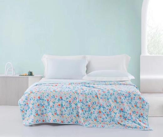 梦洁 纯棉薄荷夏被 玛德琳 商品图1