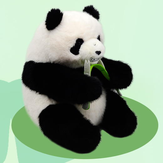 熊猫呲牙掰竹坐姿 商品图2
