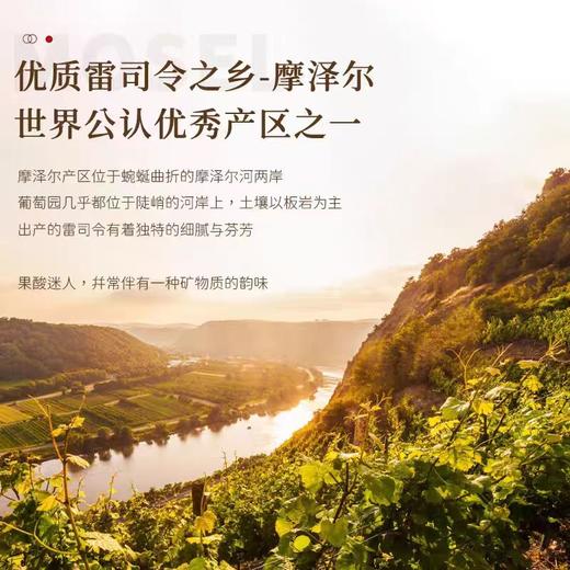 【百年酒庄加持】德国圣罗欧雷司令半甜白葡萄酒 德国摩泽尔法定产区 11.5%vol 商品图1
