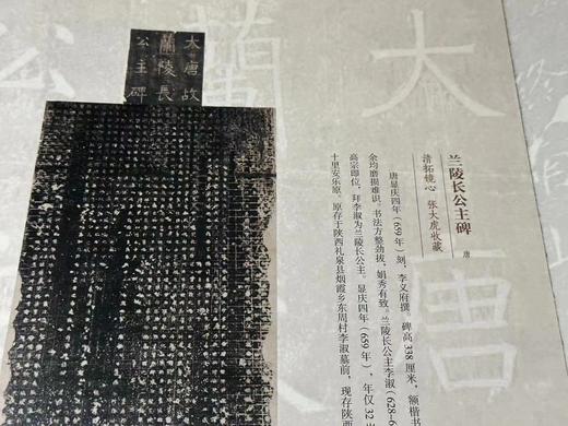 《梦回汉唐～陕西古代金石碑刻拓本选粹》大16开，135页码，全彩印刷，裸脊装 商品图3