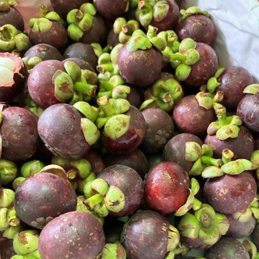 泰国进口  2A花油竹 商品图4