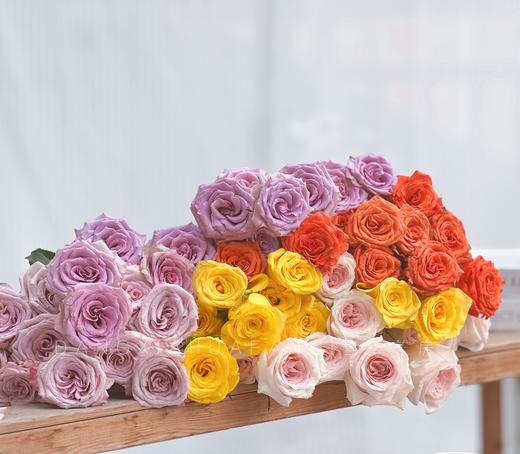 【单头玫瑰.随机品种】5支/份 商品图4