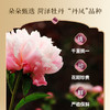 【焕新奇肌】迷奇牡丹花瓣精华水 商品缩略图3