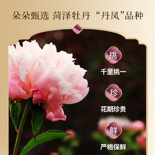 【焕新奇肌】迷奇牡丹花瓣精华水 商品图3