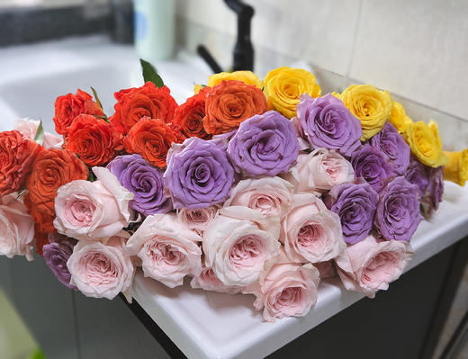 【单头玫瑰.随机品种】5支/份 商品图3