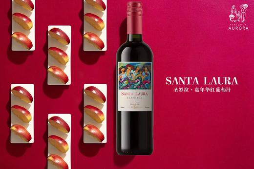 巴西高乔山谷进口 纯葡萄汁 无添加740ml 0酒精度六支装 商品图4