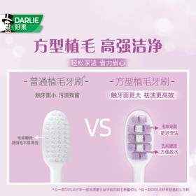 好来（DARLIE）(原黑人)密护龈高密软毛牙刷抗敏护龈 减少出血2支装新老包装随机