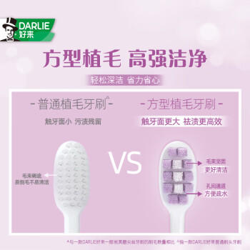 好来（DARLIE）(原黑人)密护龈高密软毛牙刷抗敏护龈 减少出血2支装新老包装随机 商品图0