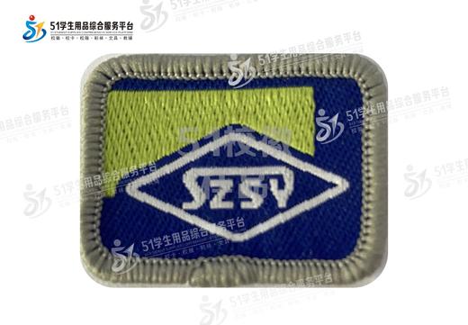 通版深圳实验学校织唛校徽礼服布标姓名字贴章可缝可烫现货现发51 商品图4