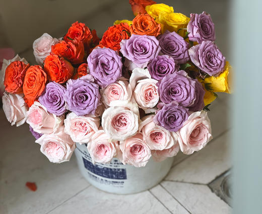 【单头玫瑰.随机品种】5支/份 商品图1