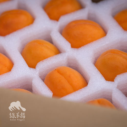 生态大黄杏 | 合作生产*Eco-Apricot | artner Production 商品图6