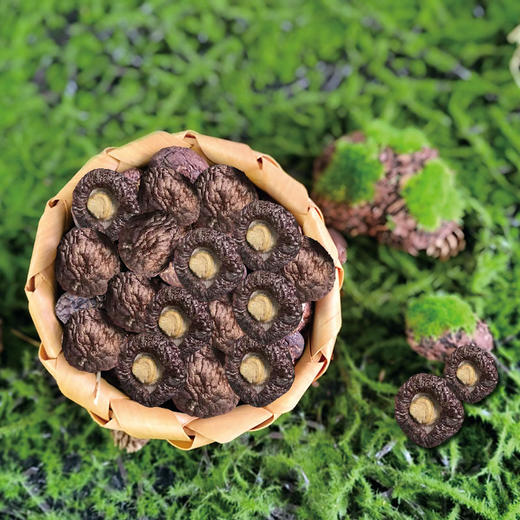 巴山金钱菇120g 商品图1