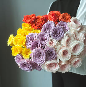 【单头玫瑰.随机品种】5支/份