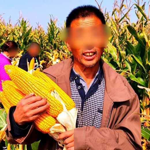 1小瓶·李元霸叶面肥（200克） 商品图9