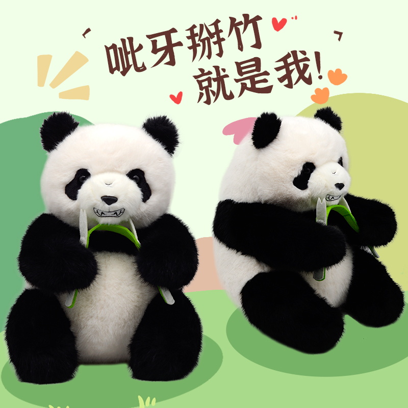 熊猫呲牙掰竹坐姿