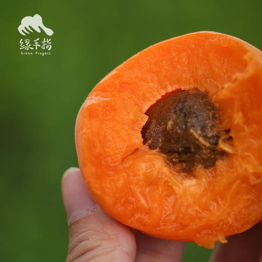 生态大黄杏 | 合作生产*Eco-Apricot | artner Production 商品图3