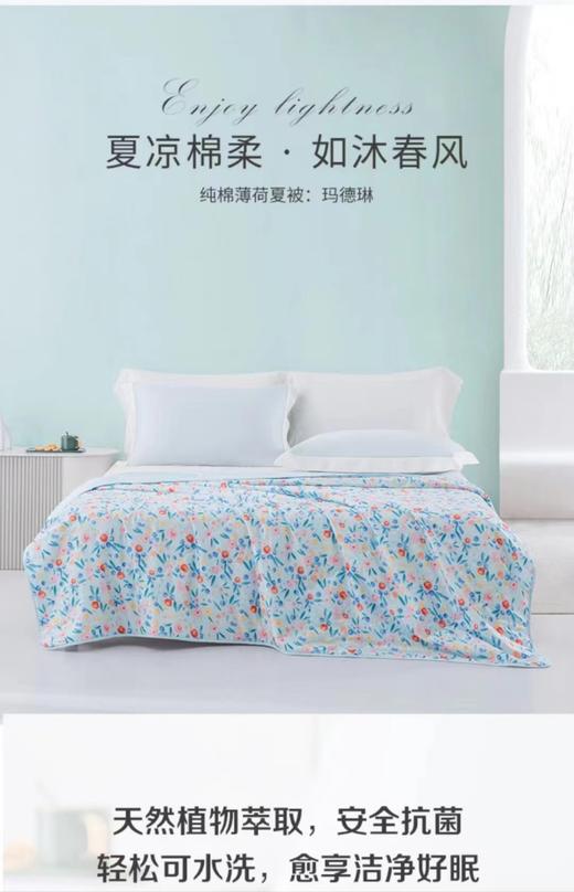 梦洁 纯棉薄荷夏被 玛德琳 商品图0