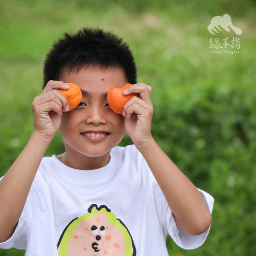 生态大黄杏 | 合作生产*Eco-Apricot | artner Production 商品图0