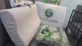 LHX24651大童乳胶枕