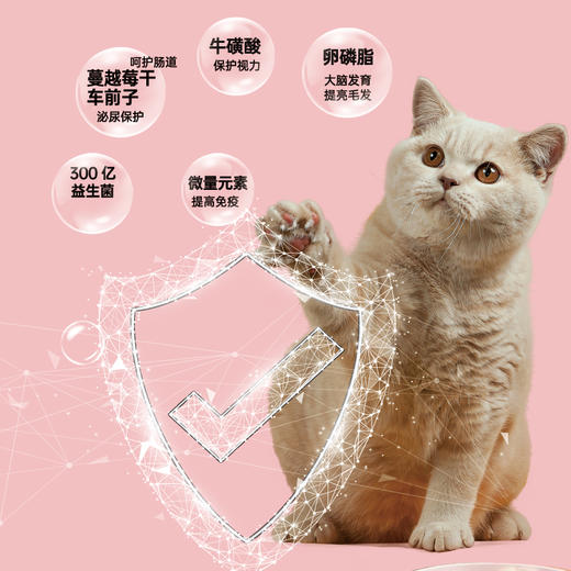 糗糗5号粮-糗糗全价全期鲜肉猫粮2KG/袋 商品图1