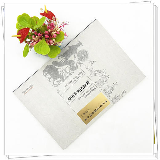 伤寒纪玄妙用集 (元) 尚从善 编次 中国古医籍整理丛书.续编 中国中医药出版社 商品图2