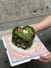 情人节|爱心岛屿蛋糕（4寸） 商品缩略图2