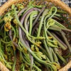 1kg清蕨菜【-7F】 商品缩略图0