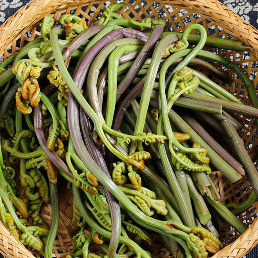 1kg清蕨菜【-7F】 商品图0