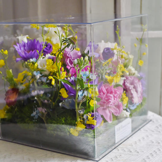《莫奈的花园》高级亚克力透视花盒规格：30×30 商品图8