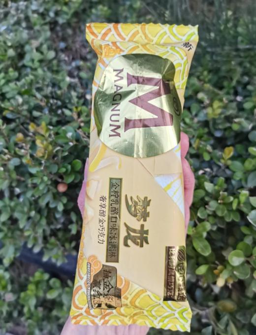 梦龙小金龙金行乳酶口味冰淇淋65g 商品图0