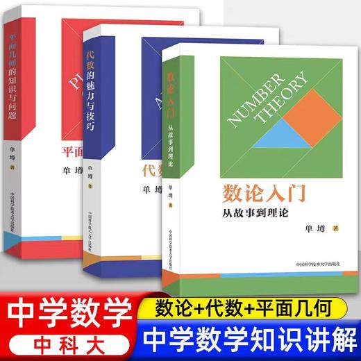 单墫三书（数论入门 平面几何的知识与问题 代数的魅力与技巧） 商品图0