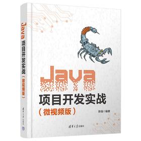 Java项目开发实战(微视频版)