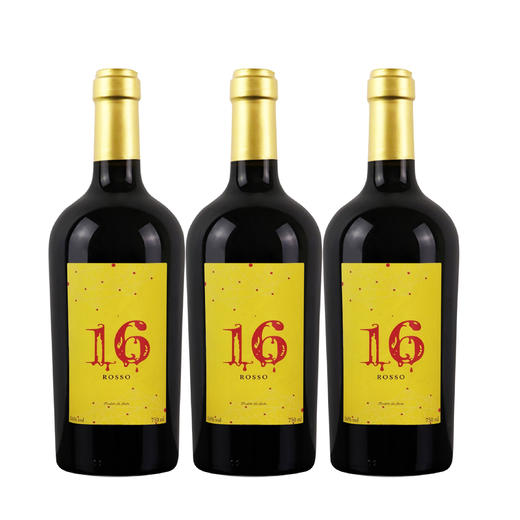 意大利16红葡萄酒750ml*3瓶 商品图0