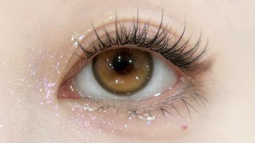 Bollycon日抛新品-Double Brown 橘星高照 商品图2