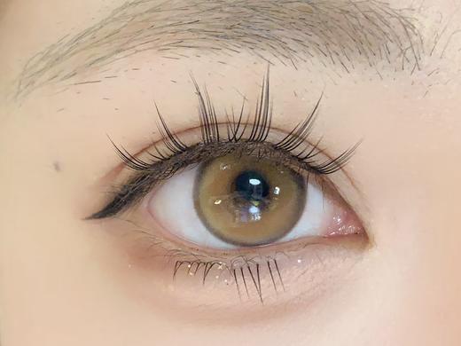 Bollycon日抛新品-Double Brown 橘星高照 商品图9