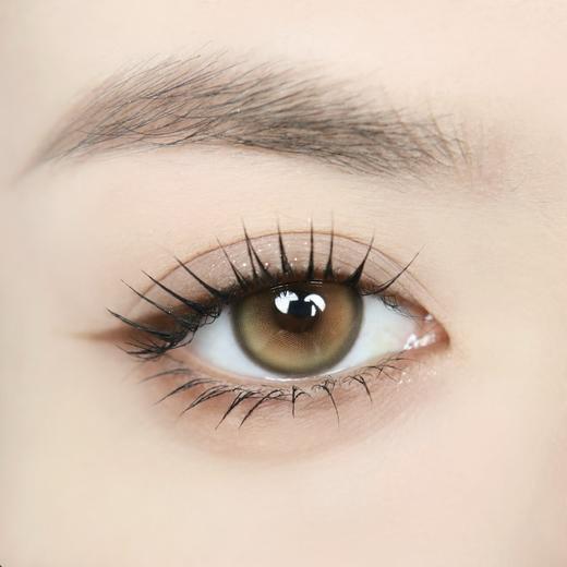 Bollycon日抛新品-Double Brown 橘星高照 商品图6