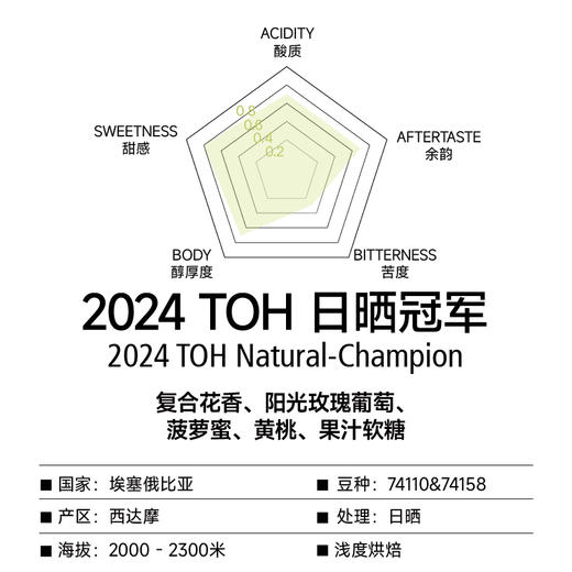 埃塞 西达摩 2024 TOH日晒冠军 甄选手冲咖啡豆 商品图1