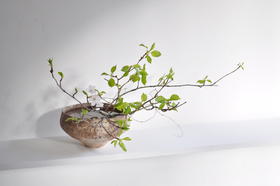 「花与人」平间磨理夫花道分享