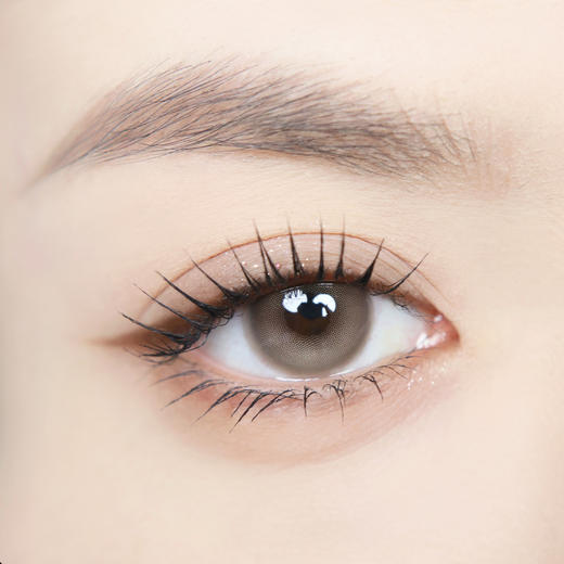 【大直径日抛】淡颜浅棕·Bollycon丨14.5mm（日抛/一盒10片装） 商品图5