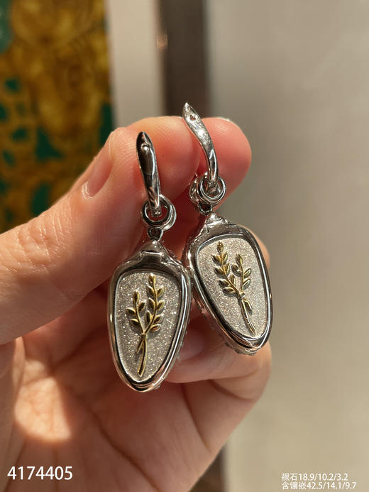 玻璃种艳绿叶子耳坠【4174405】具体价格微信咨询 商品图8