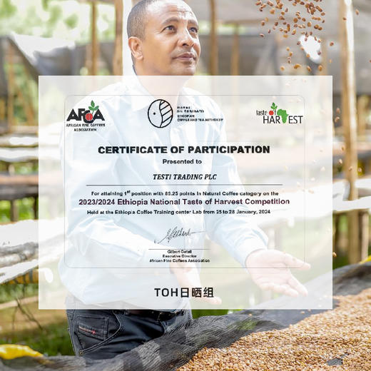 埃塞 西达摩 2024 TOH日晒冠军 甄选手冲咖啡豆 商品图2