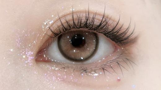 Bollycon日抛新品-SSR Brown 垫底辣妹 商品图1