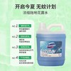 艾尔曼浓缩拖地花露水一桶 商品缩略图3